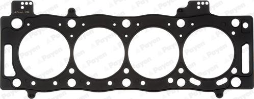 Payen AD5510 - Guarnizione, Testata www.autoricambi360.it