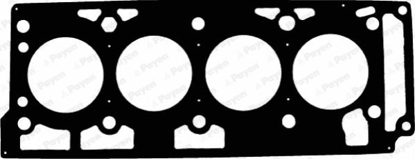 Payen AD5020 - Guarnizione, Testata www.autoricambi360.it