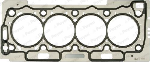Payen AD5180 - Guarnizione, Testata www.autoricambi360.it