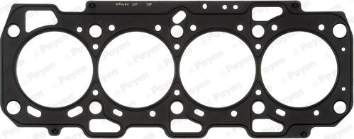 Payen AD5860 - Guarnizione, Testata www.autoricambi360.it