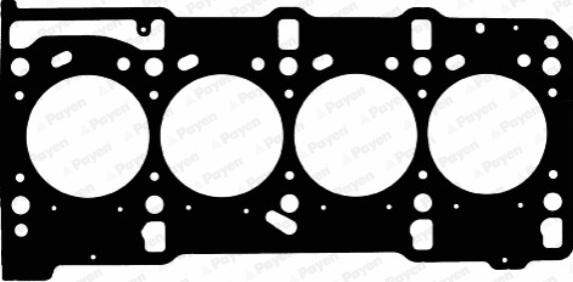 Payen AD5800 - Guarnizione, Testata www.autoricambi360.it