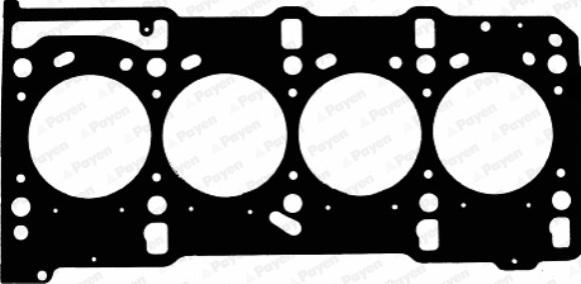 Payen AD5810 - Guarnizione, Testata www.autoricambi360.it