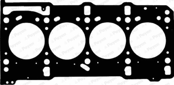 Payen AD5820 - Guarnizione, Testata www.autoricambi360.it
