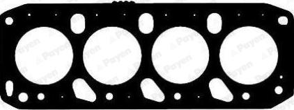 Payen AD5822 - Guarnizione, Testata www.autoricambi360.it