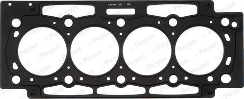 Payen AD5300 - Guarnizione, Testata www.autoricambi360.it