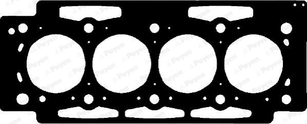 Payen AD5310 - Guarnizione, Testata www.autoricambi360.it