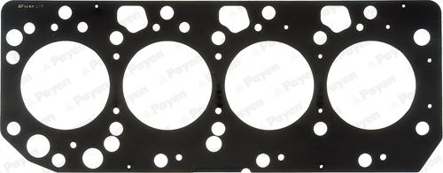 Payen AD5370 - Guarnizione, Testata www.autoricambi360.it