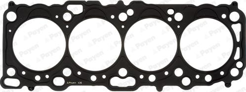 Payen AD5280 - Guarnizione, Testata www.autoricambi360.it