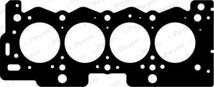 Payen AD5701 - Guarnizione, Testata www.autoricambi360.it