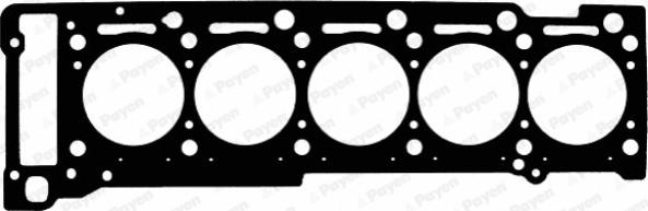 Payen AD5720 - Guarnizione, Testata www.autoricambi360.it