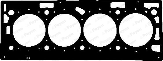 Payen AE5930 - Guarnizione, Testata www.autoricambi360.it