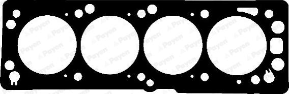 Payen AE5920 - Guarnizione, Testata www.autoricambi360.it
