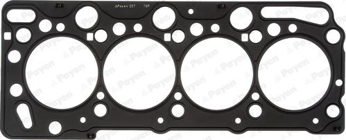 Payen AE5520 - Guarnizione, Testata www.autoricambi360.it