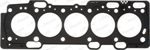 Payen AE5300 - Guarnizione, Testata www.autoricambi360.it