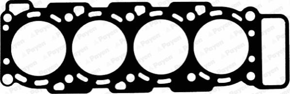 Payen AE5310 - Guarnizione, Testata www.autoricambi360.it