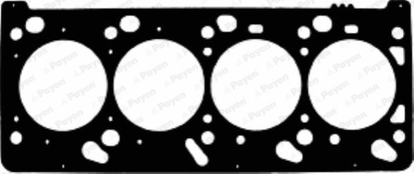 Payen AE5320 - Guarnizione, Testata www.autoricambi360.it