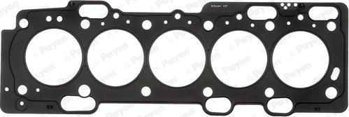 Payen AE5290 - Guarnizione, Testata www.autoricambi360.it
