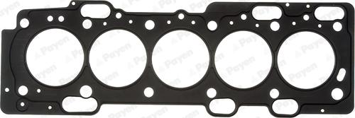 Payen AE5260 - Guarnizione, Testata www.autoricambi360.it