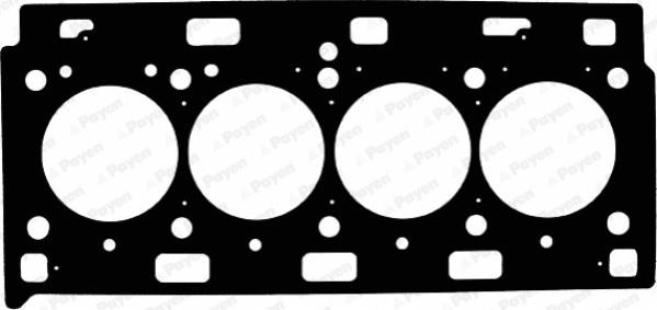 Payen AE5210 - Guarnizione, Testata www.autoricambi360.it