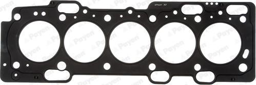Payen AE5280 - Guarnizione, Testata www.autoricambi360.it