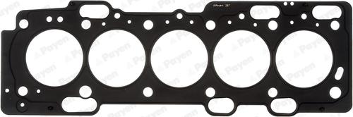 Payen AE5270 - Guarnizione, Testata www.autoricambi360.it