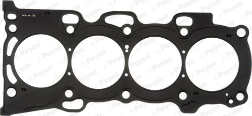 Payen AF5840 - Guarnizione, Testata www.autoricambi360.it