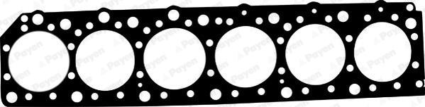 Payen AF5280 - Guarnizione, Testata www.autoricambi360.it