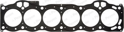 Payen AG9990 - Guarnizione, Testata www.autoricambi360.it