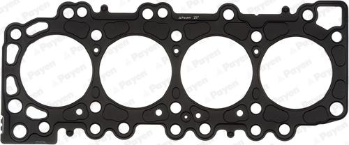 Payen AG9960 - Guarnizione, Testata www.autoricambi360.it