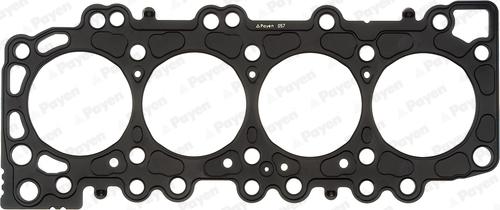 Payen AG9980 - Guarnizione, Testata www.autoricambi360.it