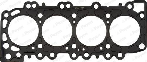 Payen AG9930 - Guarnizione, Testata www.autoricambi360.it