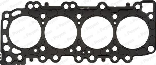 Payen AG9970 - Guarnizione, Testata www.autoricambi360.it