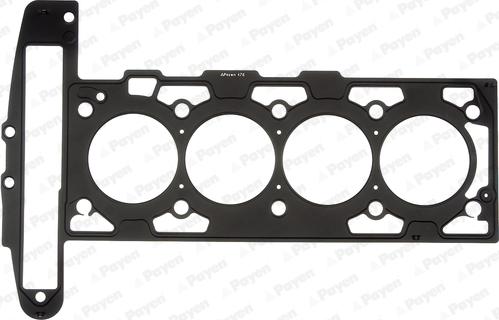 Payen AG9590 - Guarnizione, Testata www.autoricambi360.it