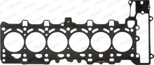 Payen AG9540 - Guarnizione, Testata www.autoricambi360.it