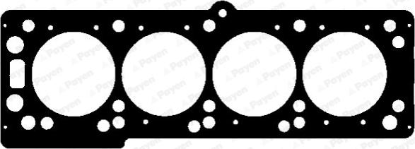 Payen AG9570 - Guarnizione, Testata www.autoricambi360.it