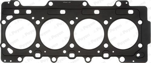Payen AG9660 - Guarnizione, Testata www.autoricambi360.it