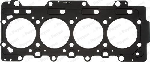 Payen AG9670 - Guarnizione, Testata www.autoricambi360.it