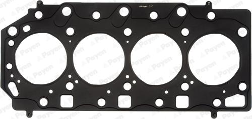Payen AG9870 - Guarnizione, Testata www.autoricambi360.it