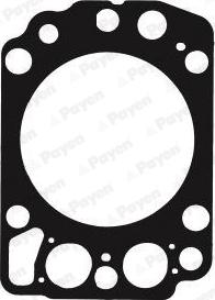 Payen AG9340 - Guarnizione, Testata www.autoricambi360.it
