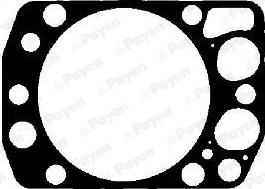 Payen AG9330 - Guarnizione, Testata www.autoricambi360.it