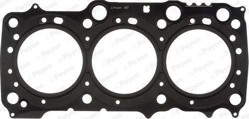 Payen AG9790 - Guarnizione, Testata www.autoricambi360.it