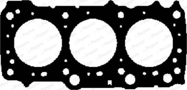 Payen AG9770 - Guarnizione, Testata www.autoricambi360.it