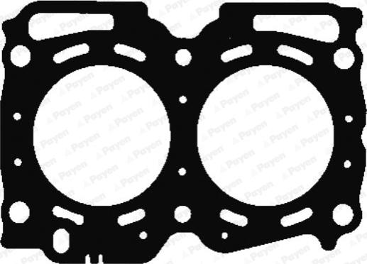 Payen AG5580 - Guarnizione, Testata www.autoricambi360.it