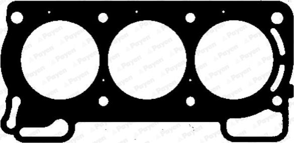 Payen AG5610 - Guarnizione, Testata www.autoricambi360.it