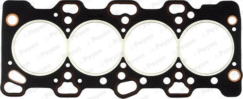 Payen AG5140 - Guarnizione, Testata www.autoricambi360.it