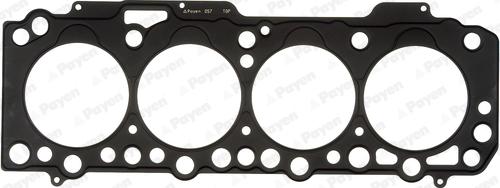 Payen AG5170 - Guarnizione, Testata www.autoricambi360.it