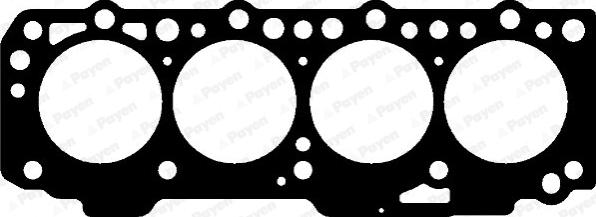 Payen AG5250 - Guarnizione, Testata www.autoricambi360.it