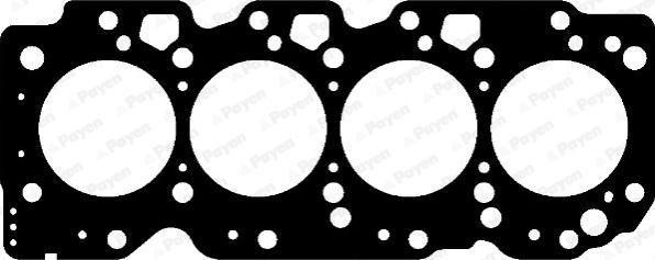 Payen AG5240 - Guarnizione, Testata www.autoricambi360.it