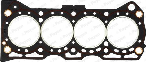 Payen AG5260 - Guarnizione, Testata www.autoricambi360.it