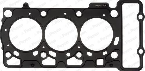 Payen AG8990 - Guarnizione, Testata www.autoricambi360.it
